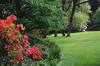   Maynord Landscaping